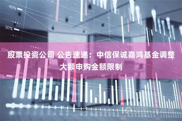 股票投资公司 公告速递：中信保诚嘉鸿基金调整大额申购金额限制